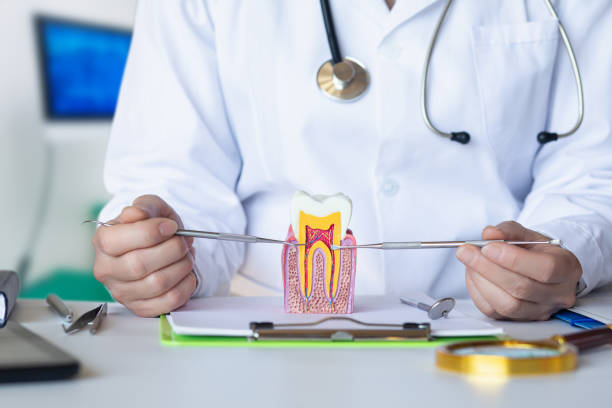 Best 24-Hour Emergency Dentist in Lexington, IL